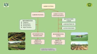 AGRICULTURA
AGROECOLOGÍA
AGRICULTURA
CONVENCIONAL
MOVIMIENTOS
 Orgánica
 Biodinámica
 Permacultura
 Bajos insumos
RENDIMIENTOS
MODERADOS
IMPACTO
AMBIENTAL
POSITIVO
RENDIMIENTOS
ALTOS
IMPACTO
AMBIENTAL
NEGATIVO
REVOLUCIÓN
VERDE
AGROQUÍMICOS
ALTOS INSUMOS
CENTRO PARA EL DESARROLLO
AGROPECUARIO Y FORESTAL (2000)
 