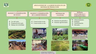 APLICACIONES DE LAAGROECOLOGÍA EN LOS
SISTEMAS DE PRODUCCIÓN
MANEJO Y CONSERVACIÓN
DE SUELO
 Uso del suelo.
 Preparación del suelo.
 Manejo de la fertilidad.
CENTRO PARA EL DESARROLLO
AGROPECUARIO Y FORESTAL (2000)
MANEJO Y CONSERVACIÓN
DE LA BIODIVERSIDAD
SISTEMAS DE
CULTIVOS
MANEJO
POSTCOSECHA Y
AGROINDUSTRIA
 Conservación in-situ.
 Conservación ex-situ.
 Sistemas de policultivo.
 Sistemas agroforestales.
 Almacenamiento.
 Empaque.
 Transformación.
 Mercadeo.
 