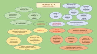 PRINCIPIOS DE LA
AGROECOLOGÍA
AMBIENTAL
ECONÓMICO
PRODUCTIVO
POLÍTICO SOCIO
CULTURAL
Fortalece la
organización de
productores y
comunidades
campesinas,
Promueve el intercambio de
conocimientos entre agricultores.
Revalora los
conocimientos
locales.
Incentiva las
dietas y medios
de subsistencia
sanos y limpios
Genera diversidad de pueblos y
empoderamiento de mujeres y jóvenes
Fomenta la gobernanza
participativa, colectiva de los
sistemas alimentarios
sostenibles.
Requiere financiamiento e
inversiones en políticas públicas y
de apoyo.
Promueve la
participación de
todos los actores
Incentiva las dietas
y medios de
subsistencia sanos y
limpios
Refuerza la
integración de los
ecosistemas.
Promueve la conservación
de la biodiversidad.
Elimina el uso y
dependencia de
agroquímicos.
Apoya la
adaptación al
cambio
climático.
Mercados locales
justos y solidarios.
(“circuitos cortos”)
Diversificación productiva y
de ingresos.
Busca la
producción
estable.
Reciclaje y
flujo de
nutrientes del
suelo vivo.
Fomenta el
uso de
recursos
locales.
Busca la
producción
estable.
Alianza de
productores y
consumidores.
“redes de
distribución”
 