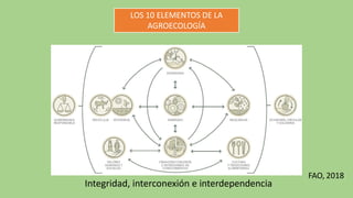 Integridad, interconexión e interdependencia
FAO, 2018
LOS 10 ELEMENTOS DE LA
AGROECOLOGÍA
 