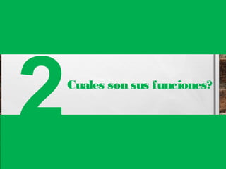 2Cuales son sus funciones? 
 