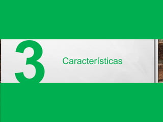 3 Características 
 