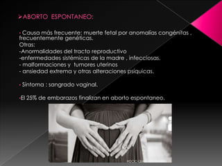 • Causa más frecuente: muerte fetal por anomalías congénitas ,
frecuentemente genéticas.
Otras:
-Anormalidades del tracto reproductivo
-enfermedades sistémicas de la madre , infecciosas.
- malformaciones y tumores uterinos
- ansiedad extrema y otras alteraciones psíquicas.

•   Síntoma : sangrado vaginal.

•El   25% de embarazos finalizan en aborto espontaneo.




                                        ROCIO QUIÑONEZ BARRA
 