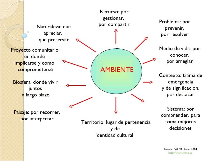 Que es el ambiente