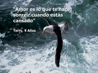 “ Amor es lo que te hace sonreir cuando estás cansado”   Terry, 4 Años 