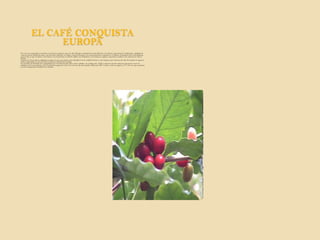 EL CAFÉ CONQUISTA EUROPA En 1615, los comerciantes venecianos enviaron los primeros sacos de café a Europa occidental. Su aroma delicioso y los efectos vigorizantes lo establecieron rápidamente como una de las bebidas favoritas, y pronto hubo cafeterías a lo largo y ancho de Europa. Con sus pensamientos centrados en el negocio, la burguesía sólo tenía alabanzas para el café, ya que sus efectos convirtieron a los borrachines en obreros fiables. Los holandeses y los marineros ingleses exportaron la planta a sus colonias por todo el mundo. Cuando los Turcos fueron obligados a romper el cerco que tenían en los alrededores de la ciudad de Viena en 1683, dejaron más 500 sacos de café. Un hombre de negocios polaco emprendedor lo usó para abrir la primera cafetería de la ciudad. La extensión de la bebida vino acompañada por el crecimiento del cultivo de los cafetales. Ya a finales del s. XVII, se hicieron muchos esfuerzos para hacer crecer los cafetales en los invernaderos y tal inversión de energía tuvo éxito. Se envió una de estas plantas al Rey Luís XIV, en París, como un regalo en 1714. Se cree que esta planta ha sido el antepasado de millones de cafetales.