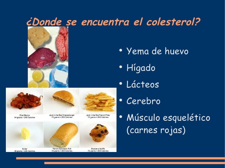 Que es el Colesterol