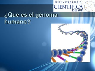 ¿Que es el genoma
humano?
 