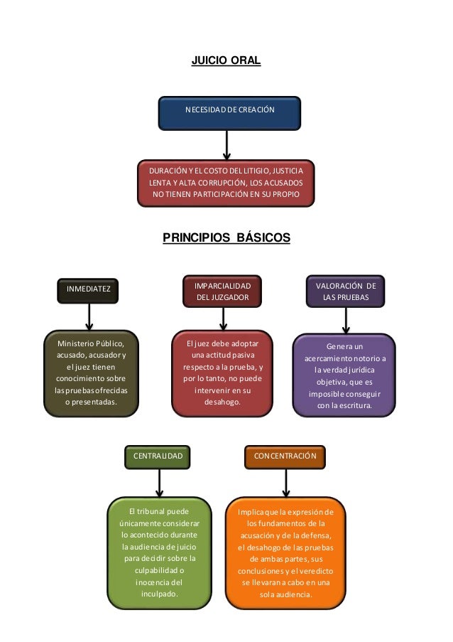 Principios Del Juicio Oral ajore Principios Del Juicio Oral ajore