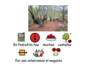 En Pedrafita hay

muchos

castaños

Por eso celebramos el magosto

 