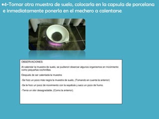 •4-Tomar otra muestra de suelo, colocarla en la capsula de porcelana
 e inmediatamente ponerla en el mechero a calentarse.




        OBSERVACIONES:

        Al calendar la muestra de suelo, se pudieron observar algunos organismos en movimiento
        como pequeñas cochinillas.

        Después de ser calentada la muestra:

        -Se hizo un poco más negra la muestra de suelo, (Tomando en cuenta la anterior)

        -Se le hizo un poco de movimiento con la espátula y saco un poco de humo.

        -Tenía un olor desagradable. (Como la anterior).
 