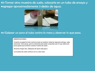 •5-Tomar otra muestra de suelo, colocarla en un tubo de ensayo y
•agregar aproximadamente 3 dedos de agua.




•6-Golpear un poco el tubo contra la mesa y observar lo que pasa.

          OBSERVACIONES:

          -Cuando se golpeó el tubo contra la mesa se pudieron observar algunas burbujas, cabe
          mencionar eran pocas, pero lo suficiente para poder comprobar que “lo que salía eran
          pocos gases que contenía nuestra muestra de suelo”.

          -No tenía ningún olor. (Después de hacer este paso).

          -La muestra de suelo continuo con su color claro.
 
