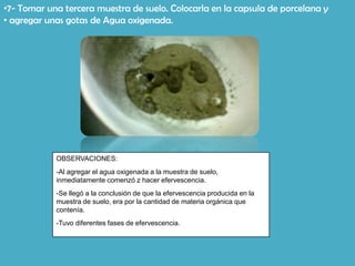 •7- Tomar una tercera muestra de suelo. Colocarla en la capsula de porcelana y
• agregar unas gotas de Agua oxigenada.




            OBSERVACIONES:
            -Al agregar el agua oxigenada a la muestra de suelo,
            inmediatamente comenzó z hacer efervescencia.
            -Se llegó a la conclusión de que la efervescencia producida en la
            muestra de suelo, era por la cantidad de materia orgánica que
            contenía.
            -Tuvo diferentes fases de efervescencia.
 