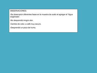 OBSERVACIONES:
-Se observaron diferentes fases en la muestra de suelo al agregar el “Agua
oxigenada”.
-No desprendió ningún olor.
-Cambio de color, a café muy oscuro.
-Desprendió un poco de humo.
 