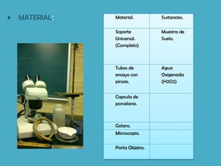 •   MATERIAL:   Material.        Sustancias.

                Soporte          Muestra de
                Universal.       Suelo.
                (Completo)



                Tubos de         Agua
                ensayo con       Oxigenada
                pinzas.          (H2O2)


                Capsula de
                porcelana.



                Gotero.
                Microscopio.

                Porta Objetos.
 