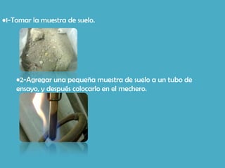 •1-Tomar la muestra de suelo.




    •2-Agregar una pequeña muestra de suelo a un tubo de
    ensayo, y después colocarlo en el mechero.
 
