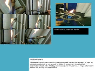 VISTA DE TUBO DE ENSAYO POR DENTRO.




OBSERVACIONES:

Después de 3 minutos de poner el tubo de ensayo sobre el mechero con la muestra de suelo, se
vio que inmediatamente se hizo un vacío en el tubo. El vacío primero empezó se hizo
aproximadamente a la mitad del tubo y después de algunos minutos más, se vio que la tierra subió
hasta el final del tubo. Aquí las evidencias.
 