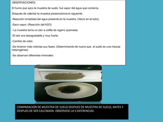 OBSERVACIONES:

El humo que saco la muestra de suelo, fue vapor del agua que contenía.

Después de calentar la muestra presenciamos lo siguiente:

-Reacción inmediata del agua presente en la muestra, (Vacío en el tubo).

-Saco vapor. (Reacción del H2O)

- La muestra tenía un olor a colilla de cigarro quemada.

-El olor era desagradable y muy fuerte.

-Cambio de color,

-Se hicieron más notorias sus fases. (Determinando de nuevo que el suelo es una mezcla
heterogénea).

-Se observan diferentes minerales.




    COMPARACION DE MUESTRA DE SUELO DESPUES DE MUESTRA DE SUELO, ANTES Y
    DESPUES DE SER CALCINADA. OBSERVESE LA S DIFERENCIAS.
 