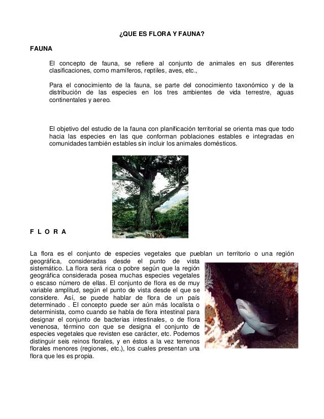 Que es flora y fauna