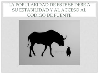 LA POPULARIDAD DE ESTE SE DEBE A
SU ESTABILIDAD Y AL ACCESO AL
CÓDIGO DE FUENTE