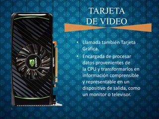 TARJETA 
DE VIDEO 
• Llamada también Tarjeta 
Gráfica. 
• Encargada de procesar 
datos provenientes de 
la CPU y transformarlos en 
información comprensible 
y representable en un 
dispositivo de salida, como 
un monitor o televisor. 
 