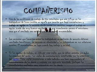 COMPAÑERISMOUna de las condiciones de trabajo de tipo psicológico que más influye en los trabajadores de forma positiva es aquella que permite que haya compañerismo y trabajo en equipo en la empresa donde preste sus servicios, porque el trabajo en equipo puede dar muy buenos resultados; ya que normalmente genera el entusiasmo para que el resultado sea satisfactorio en las tareas encomendadas.Las empresas que fomentan entre los trabajadores un ambiente de armonía obtienen resultados beneficiosos. La empresa en efectividad y los trabajadores en sus relaciones sociales. El compañerismo se logra cuando hay trabajo y amistad.En los equipos de trabajo, se elaboran unas reglas, que se deben respetar por todos los miembros del grupo. Son reglas de comportamiento establecidas por los miembros del equipo. Estas reglas proporcionan a cada individuo una base para predecir el comportamiento de los demás y preparar una respuesta apropiada. Incluyen los procedimientos empleados para interactuar con los demás