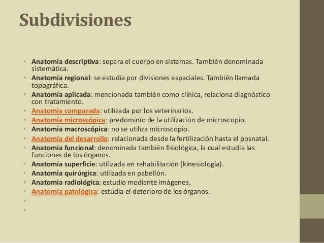 Que es la anatomía diapositivas
