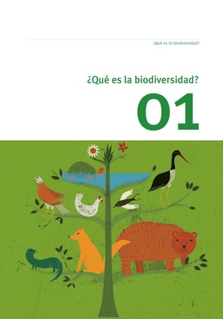 ¿Qué es la biodiversidad?




                             Dentro de este elemento de la biodiversidad se encontrarían, po...