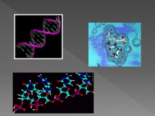 Que es la bioquimica