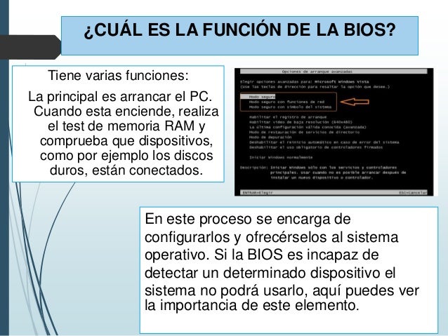 Cual Es La Funcion De Los Bios