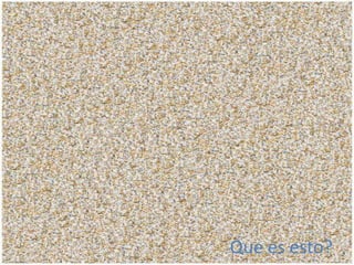 Que es esto?
 
