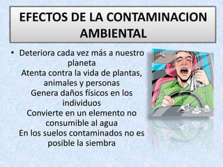EFECTOS DE LA CONTAMINACION AMBIENTAL Deteriora cada vez más a nuestro planetaAtenta contra la vida de plantas, animales y personasGenera daños físicos en los individuosConvierte en un elemento no consumible al aguaEn los suelos contaminados no es posible la siembra
