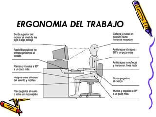 ERGONOMIA DEL TRABAJO 