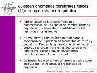 ¿Existen anomalías cerebrales físicas? (II): la hipótesis neuroquímicaParece existir en la esquizofrenia una hiperactividad de una sustancia cerebral llamada dopamina que aumenta la sensibilidad de las neuronas a los estímulosNormalmente, esto es útil para aumentar la conciencia de la persona en momentos de estrés y de peligro. Pero en la esquizofrenia, la suma del efecto de la dopamina a un estado cerebral ya hiperactivo puede producir los síntomas característicos de la enfermedadDe hecho, los medicamentos antipsicóticos actúan bloqueando, entre otros, los receptores de dopamina