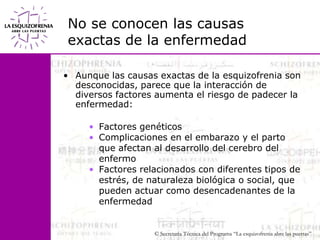 No se conocen las causas exactas de la enfermedadAunque las causas exactas de la esquizofrenia son desconocidas, parece que la interacción de diversos factores aumenta el riesgo de padecer la enfermedad: Factores genéticosComplicaciones en el embarazo y el parto que afectan al desarrollo del cerebro del enfermoFactores relacionados con diferentes tipos de estrés, de naturaleza biológica o social, que pueden actuar como desencadenantes de la enfermedad