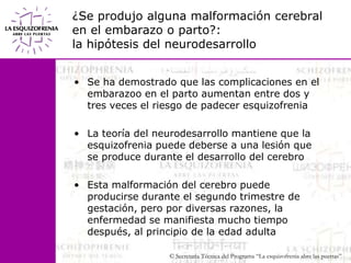 ¿Se produjo alguna malformación cerebralen el embarazo o parto?:la hipótesis del neurodesarrolloSe ha demostrado que las complicaciones en el embarazoo en el parto aumentan entre dos y tres veces el riesgo de padecer esquizofrenia La teoría del neurodesarrollo mantiene que la esquizofrenia puede deberse a una lesión que se produce durante el desarrollo del cerebroEsta malformación del cerebro puede producirse durante el segundo trimestre de gestación, pero por diversas razones, la enfermedad se manifiesta mucho tiempo después, al principio de la edad adulta