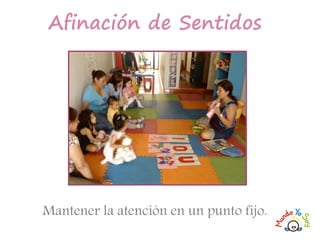 Mantener la atención en un punto fijo.
Afinación de Sentidos
 