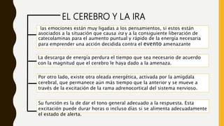 las emociones están muy ligadas a los pensamientos, si estos están
asociados a la situación que causa ira y a la consiguiente liberación de
catecolaminas para el aumento puntual y rápido de la energía necesaria
para emprender una acción decidida contra el evento amenazante
La descarga de energía perdura el tiempo que sea necesario de acuerdo
con la magnitud que el cerebro le haya dado a la amenaza.
Por otro lado, existe otra oleada energética, activada por la amígdala
cerebral, que permanece aún más tiempo que la anterior y se mueve a
través de la excitación de la rama adrenocortical del sistema nervioso.
Su función es la de dar el tono general adecuado a la respuesta. Esta
excitación puede durar horas o incluso días si se alimenta adecuadamente
el estado de alerta.
EL CEREBRO Y LA IRA
 