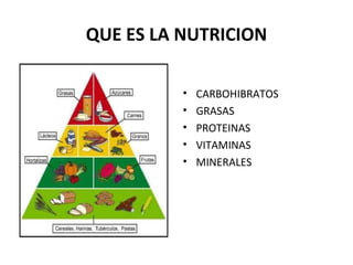 QUE ES LA NUTRICION
• CARBOHIBRATOS
• GRASAS
• PROTEINAS
• VITAMINAS
• MINERALES
 