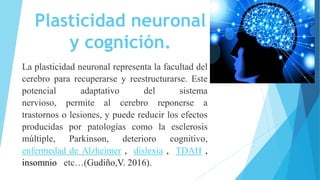 Plasticidad neuronal
y cognición.
La plasticidad neuronal representa la facultad del
cerebro para recuperarse y reestructurarse. Este
potencial adaptativo del sistema
nervioso, permite al cerebro reponerse a
trastornos o lesiones, y puede reducir los efectos
producidas por patologías como la esclerosis
múltiple, Parkinson, deterioro cognitivo,
enfermedad de Alzheimer , dislexia , TDAH ,
insomnio etc…(Gudiño,V. 2016).
 