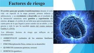 Factores de riesgo
El cerebro pasa por grandes transformaciones durante el ciclo
vital –en especial en la etapa prenatal, primera infancia y
adolescencia– y su crecimiento y desarrollo son el resultado de
la interacción armoniosa entre genética y experiencias del
entorno. al nacer, el cerebro de un bebé pesa aproximadamente la
cuarta parte de lo que llegará a pesar cuando sea un adulto, y esto
gracias a todo lo que ha sucedido dentro del vientre materno.
Gudiño,V. (2016).
Los diferentes factores de riesgo que influyen en el
neurodesarrollo:
• AMBIENTALES (estímulos de los entornos familiares,
sociales)
• FISICOS(exploración física, retraso en su desarrollo)
• QUIMICOS (sustancias químicas, toxicas)
• HERENCIA (genética )
 