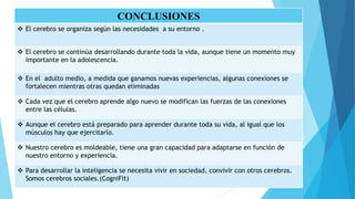 CONCLUSIONES
 El cerebro se organiza según las necesidades a su entorno .
 El cerebro se continúa desarrollando durante toda la vida, aunque tiene un momento muy
importante en la adolescencia.
 En el adulto medio, a medida que ganamos nuevas experiencias, algunas conexiones se
fortalecen mientras otras quedan eliminadas
 Cada vez que el cerebro aprende algo nuevo se modifican las fuerzas de las conexiones
entre las células.
 Aunque el cerebro está preparado para aprender durante toda su vida, al igual que los
músculos hay que ejercitarlo.
 Nuestro cerebro es moldeable, tiene una gran capacidad para adaptarse en función de
nuestro entorno y experiencia.
 Para desarrollar la inteligencia se necesita vivir en sociedad, convivir con otros cerebros.
Somos cerebros sociales.(CogniFit)
 