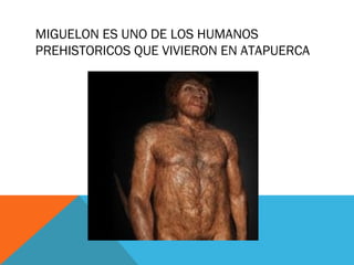 MIGUELON ES UNO DE LOS HUMANOS
PREHISTORICOS QUE VIVIERON EN ATAPUERCA
 