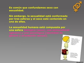 Es común que confundamos sexo con sexualidad. Sin embargo, la sexualidad está conformada por tres esferas y el sexo está contenido en una de ellas. La sexualidad humana está compuesta por una esfera  biológica (sexo), una sociocultural (género) y una psicológica (identidad de género y orientación sexual). 