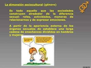 La dimensión sociocultural  (género) Es todo aquello que las sociedades construyen alrededor de la diferencia sexual: roles, actividades, maneras de relacionarnos y de expresar emociones. A partir de la apariencia externa de los órganos sexuales de establece una larga cadena de enseñanzas divididas en hombres y mujeres. 