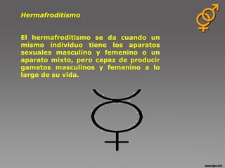 Hermafroditismo                El hermafroditismo se da cuando un mismo individuo tiene los aparatos sexuales masculino y femenino o un aparato mixto, pero capaz de producir gametos masculinos y femenino a lo largo de su vida.    