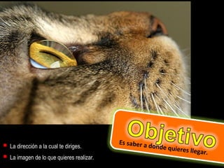 


La dirección a la cual te diriges.
La imagen de lo que quieres realizar.

Es saber a
donde quie
re

s llegar.

 