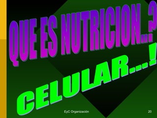 CELULAR...! QUE ES NUTRICION..?  