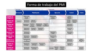 Forma de trabajo del PMI
 