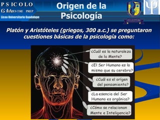 PSICOLOGIA Origen de la Psicología Platón y Aristóteles (griegos, 300 a.c.) se preguntaron cuestiones básicas de la psicología como: PSICOLOGIA 5º SEMESTRE  PREP  Liceo Universitario Guadalupe 